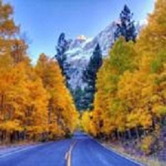 Birch Creek #1 - 1Br/1Ba - Down Canyon Джун Лейк Екстериор снимка