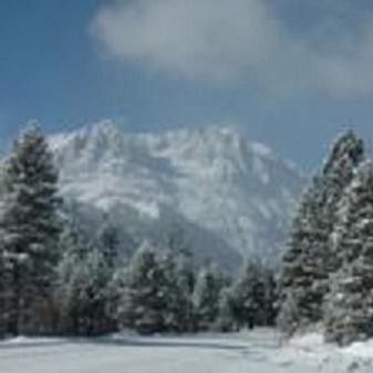 Birch Creek #1 - 1Br/1Ba - Down Canyon Джун Лейк Екстериор снимка